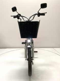 Электровелосипед GreenCamel Транк 20 V8 PRO (R20 500W 60V10Ah) 2х подвес