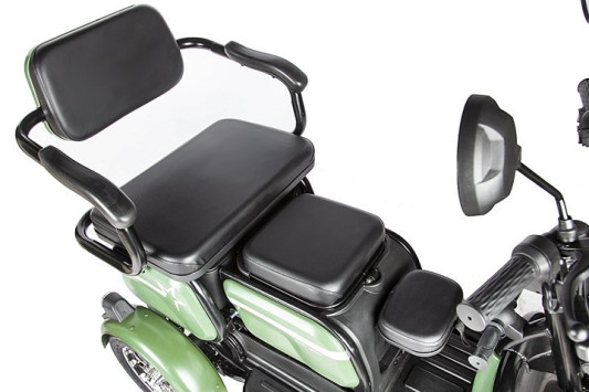 Электротрицикл Rutrike Пилот, зеленый